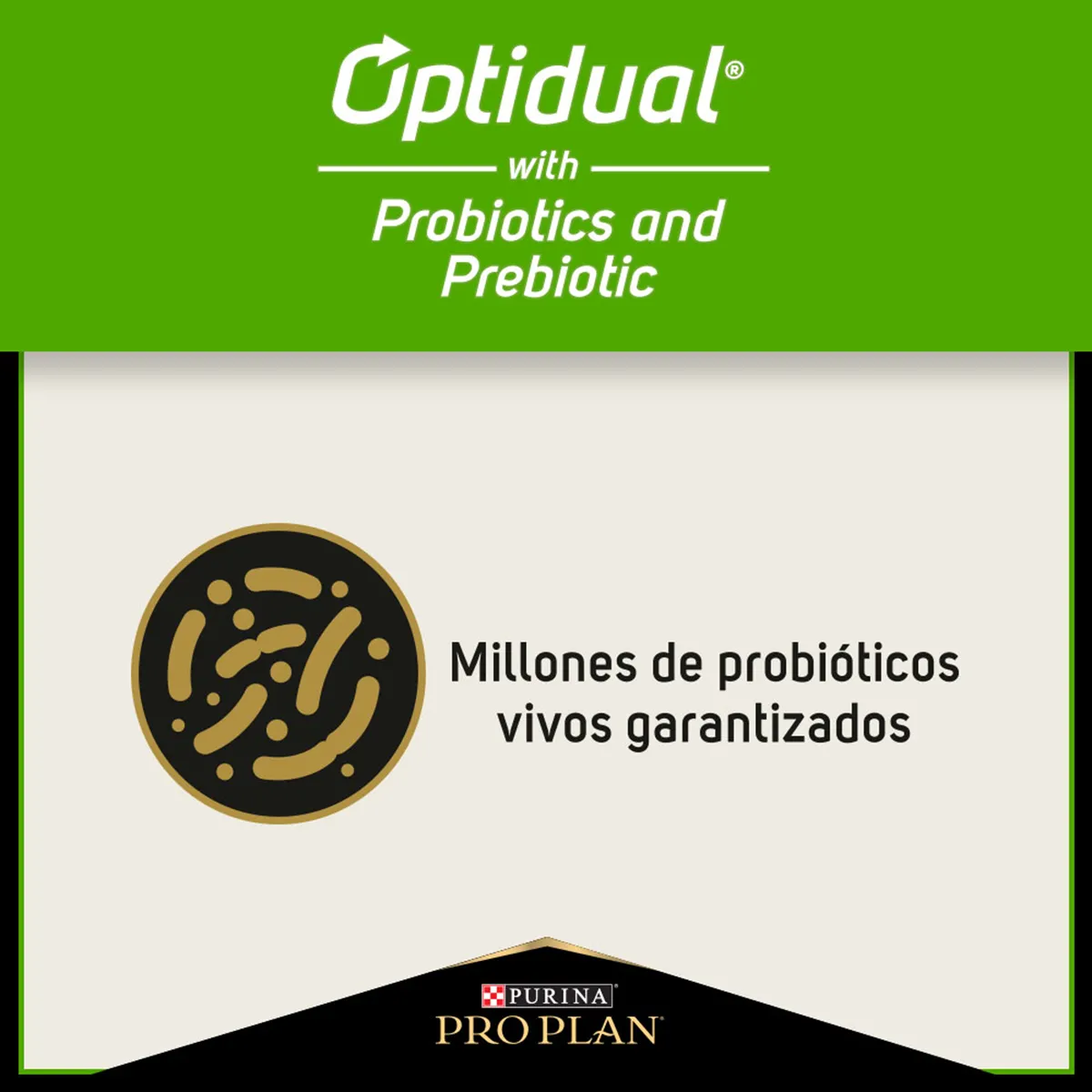 PRO PLAN Cat Sensitive Skin & Stomach – Pavo y Probióticos 3 kg - Imagen 13