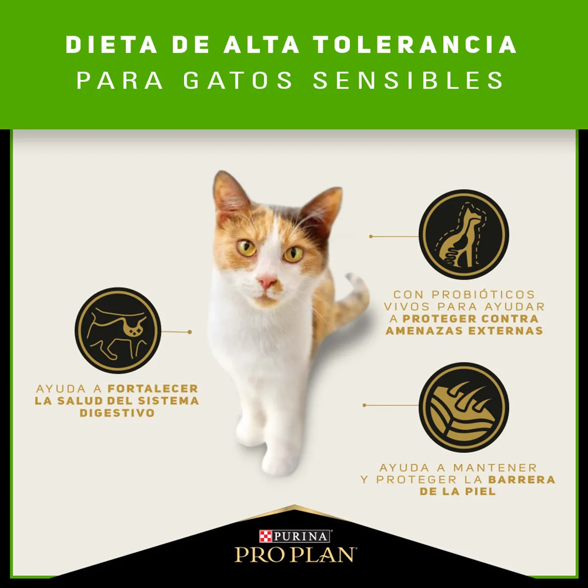 PRO PLAN Cat Sensitive Skin & Stomach – Pavo y Probióticos 3 kg - Imagen 14