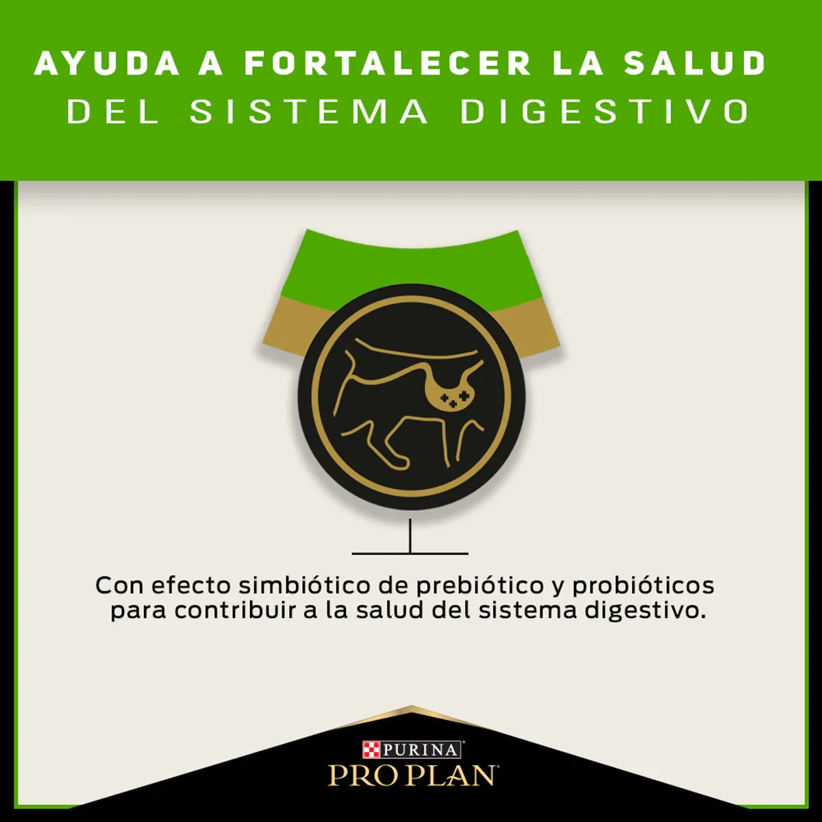 PRO PLAN Cat Sensitive Skin & Stomach – Pavo y Probióticos 3 kg - Imagen 15