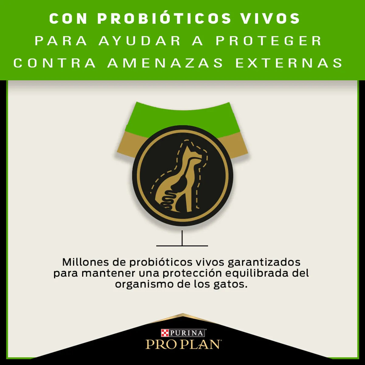 PRO PLAN Cat Sensitive Skin & Stomach – Pavo y Probióticos 3 kg - Imagen 16