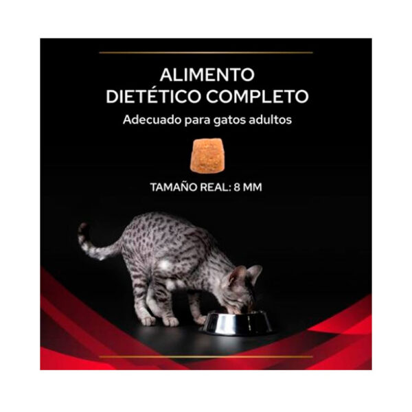 Pro Plan Veterinary Diets Gato DM Diabetes 2.72 kg - Imagen 2