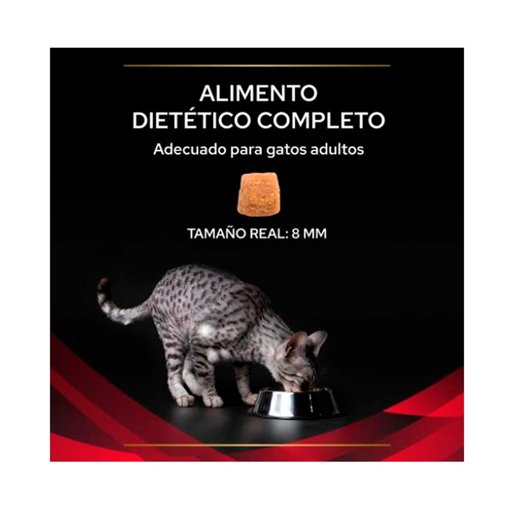 Pro Plan Veterinary Diets Gato DM Diabetes 2.72 kg - Imagen 2
