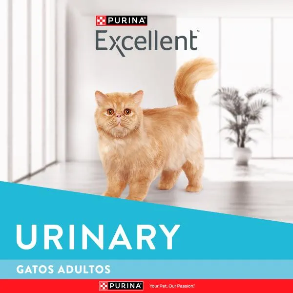 Purina Excellent Adultos Urinario Pollo y Arroz – Gatos Adultos - Imagen 5