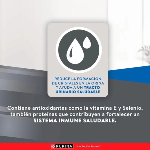 Purina Excellent Adultos Urinario Pollo y Arroz – Gatos Adultos - Imagen 8