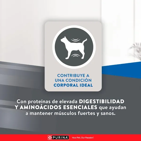Purina Excellent Adultos Urinario Pollo y Arroz – Gatos Adultos - Imagen 7