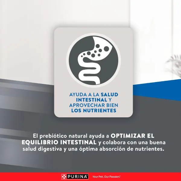 Purina Excellent Adultos Urinario Pollo y Arroz – Gatos Adultos - Imagen 6