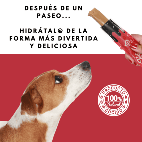 Petmeal Ice Cream – Helado Natural para Perros Sabor Carne (100 g aprox.) - Imagen 2