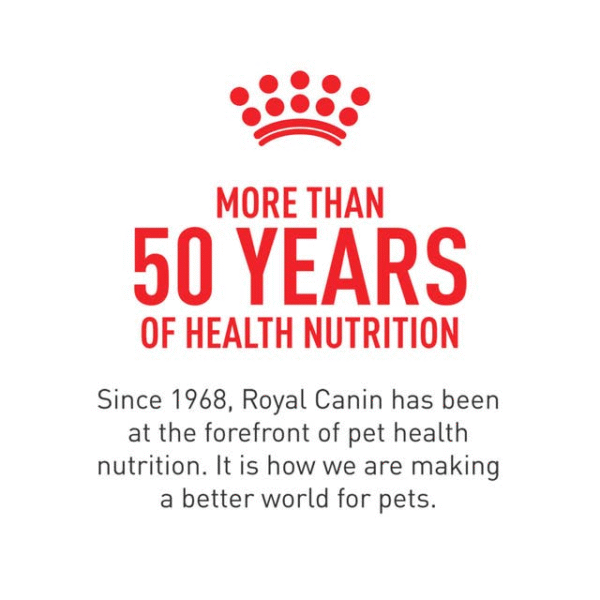 Royal Canin CHN Adulto Lata 0,385 kg - Imagen 3