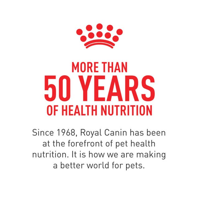 Royal Canin CHN Adulto Lata 0,385 kg - Imagen 3