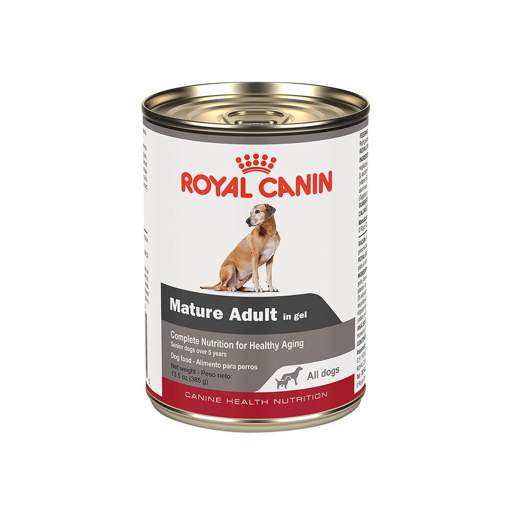 Royal Canin CHN Senior Adulto Lata 0.385 kg