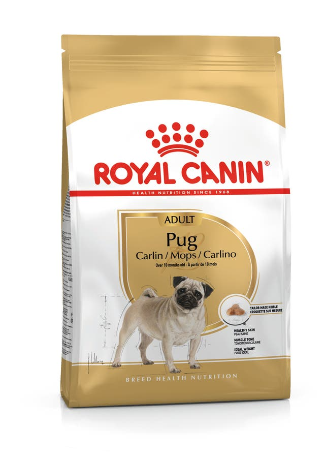 ROYAL CANIN Pug Adulto 3 kg - Imagen 8