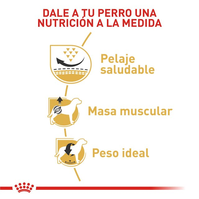 ROYAL CANIN Pug Adulto 3 kg - Imagen 6