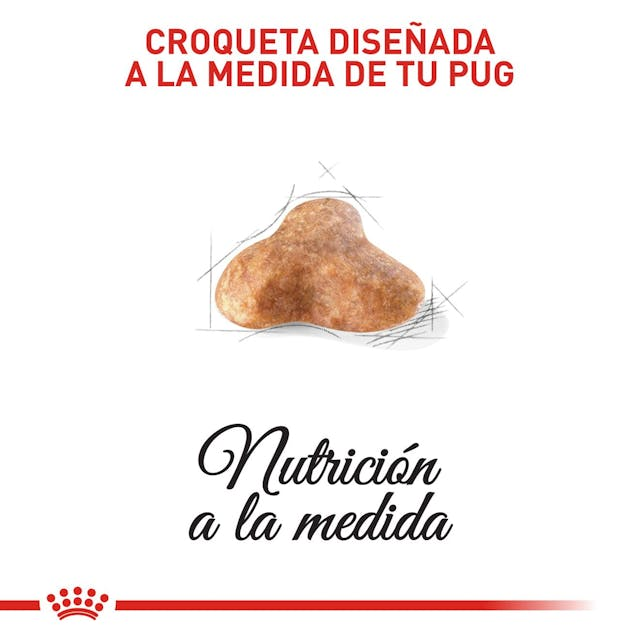 ROYAL CANIN Pug Adulto 3 kg - Imagen 5
