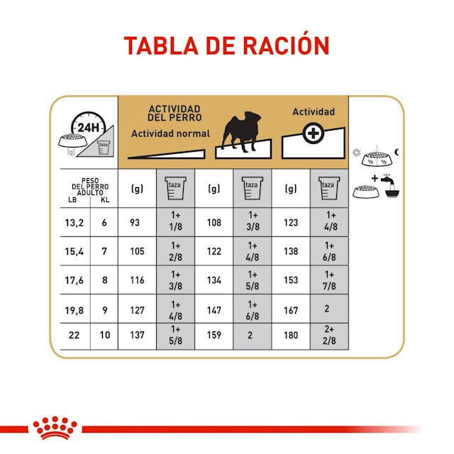ROYAL CANIN Pug Adulto 3 kg - Imagen 4