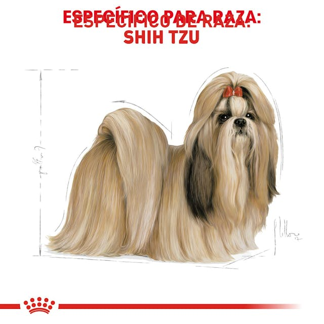 ROYAL CANIN Shih Tzu Adulto - Imagen 6