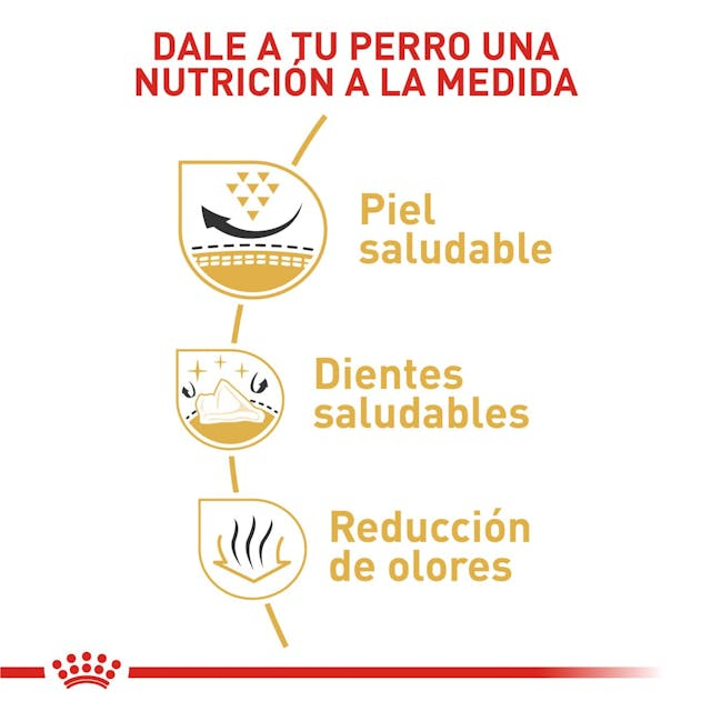 ROYAL CANIN Shih Tzu Adulto - Imagen 2