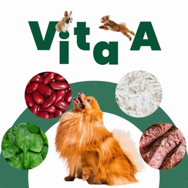 Petmeal – Dieta Cocida Natural Perro Vita A Res con Espinaca, Frijol y Arroz (500 g) - Imagen 5