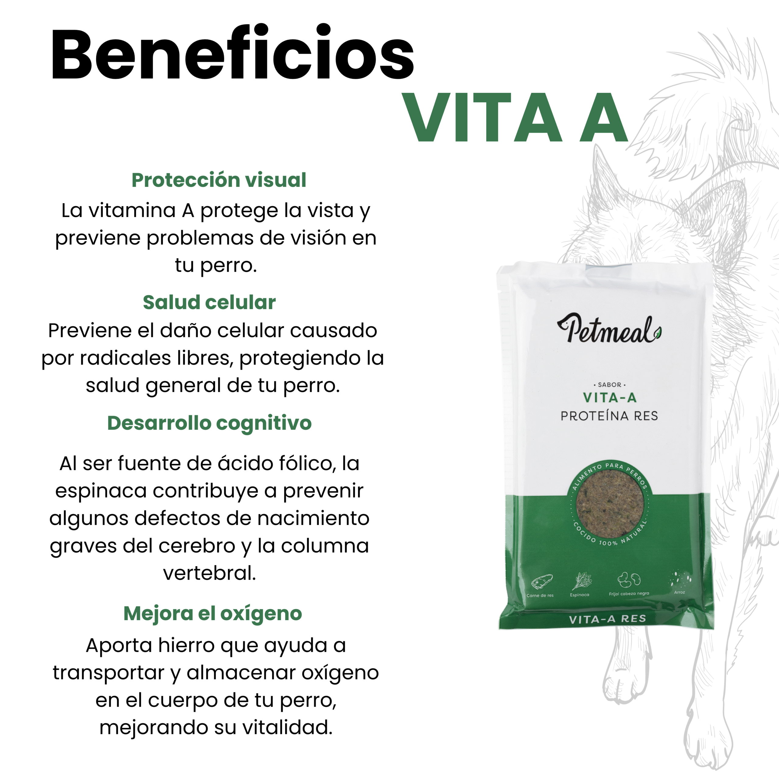 Petmeal – Dieta Cocida Natural Perro Vita A Res con Espinaca, Frijol y Arroz (500 g) - Imagen 3