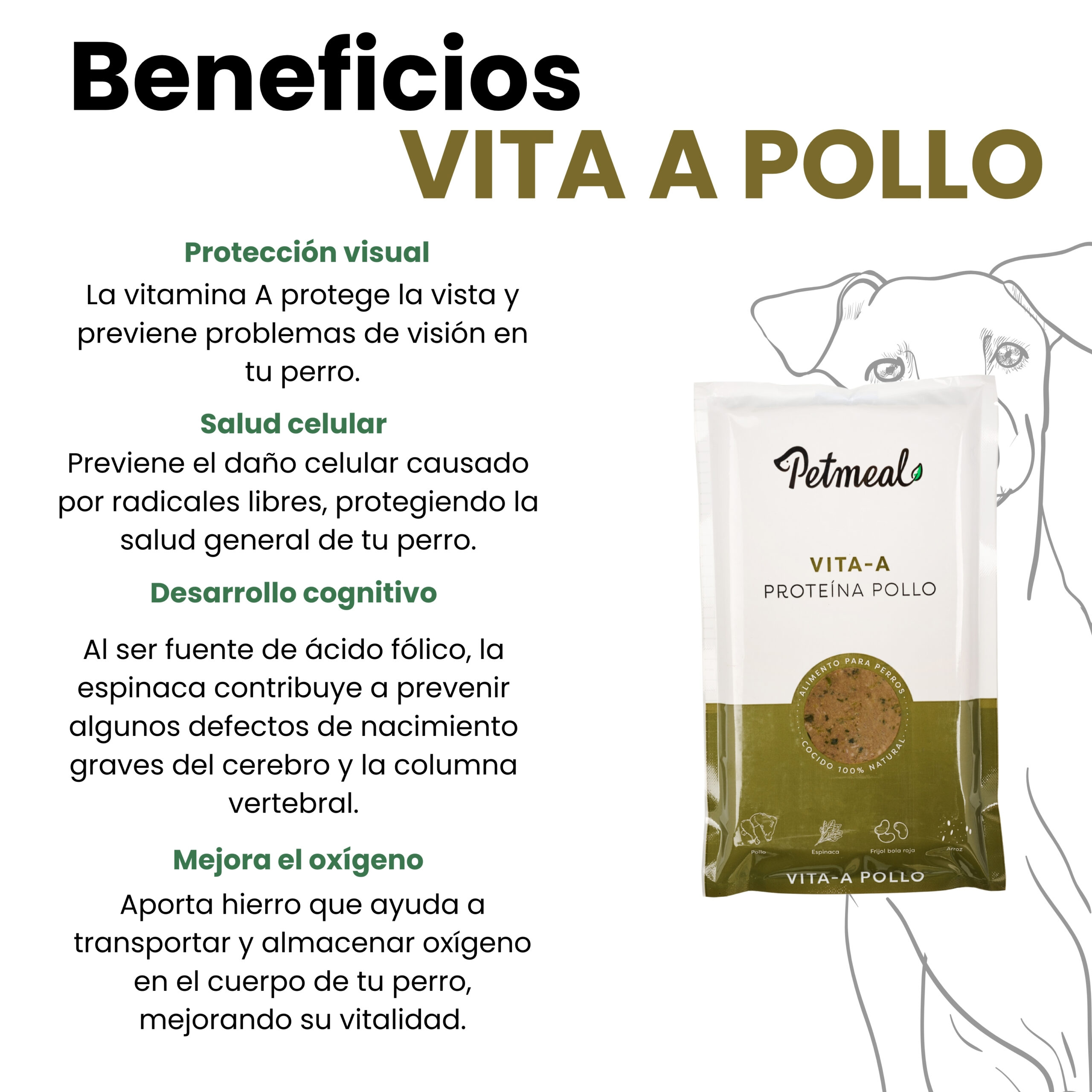 Petmeal Dieta Cocida Natural Perros – Vita A Pollo (500 g) - Imagen 6
