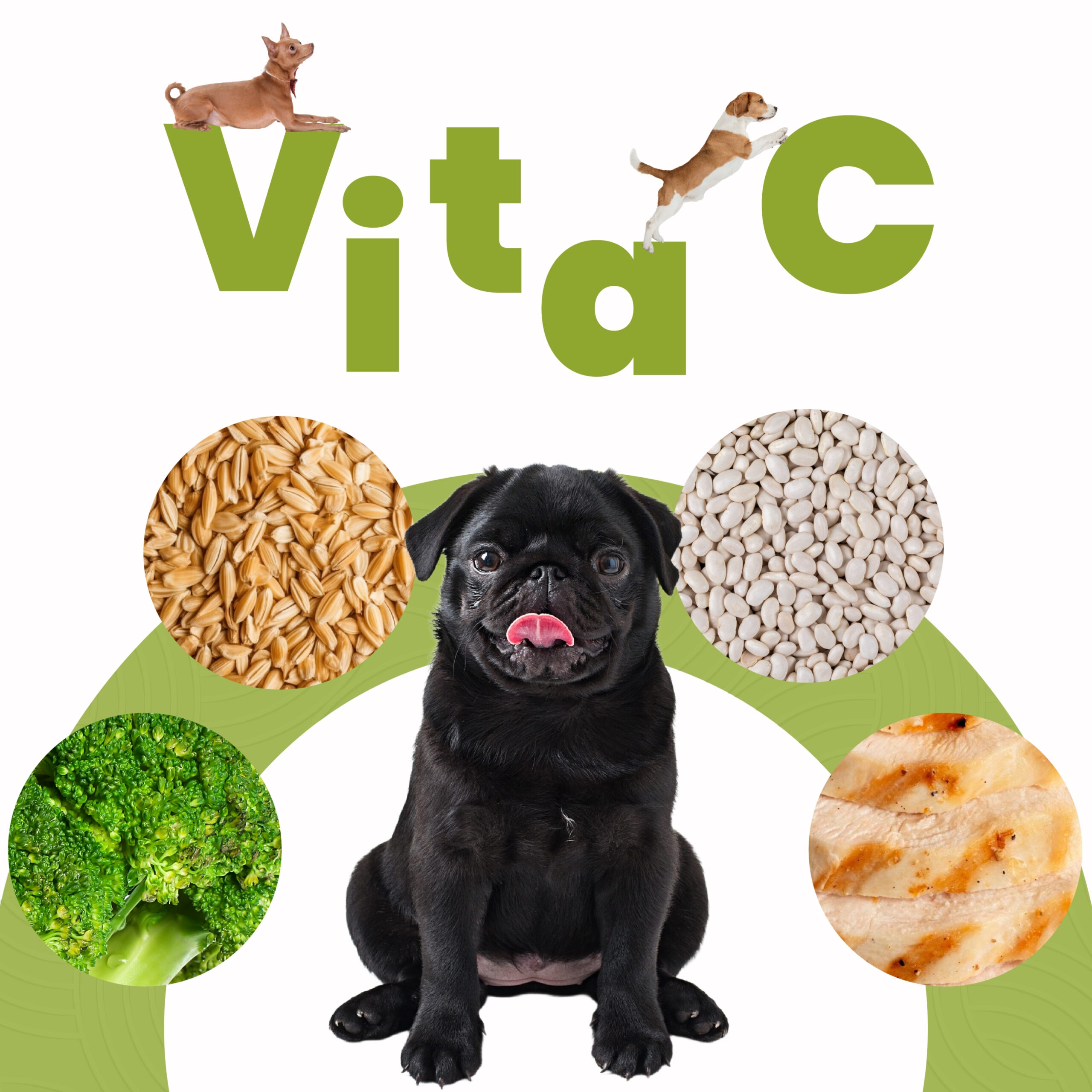 Petmeal Dieta Cocida Natural Perros – Vita C Pollo (500 g) - Imagen 4
