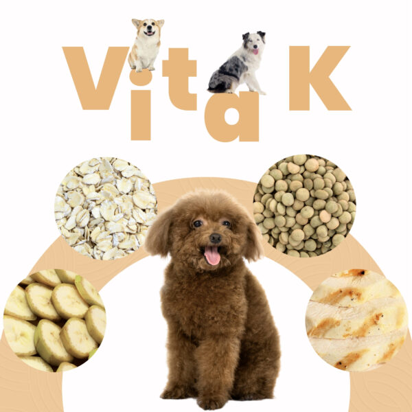 Petmeal Dieta Cocida Natural Perros – Vita K Pollo (500 g) - Imagen 6