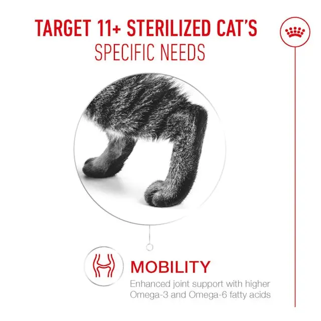 Royal Canin Ageing 11+ Alimento para Gatos Senior Mayores de 11 Años - Imagen 2