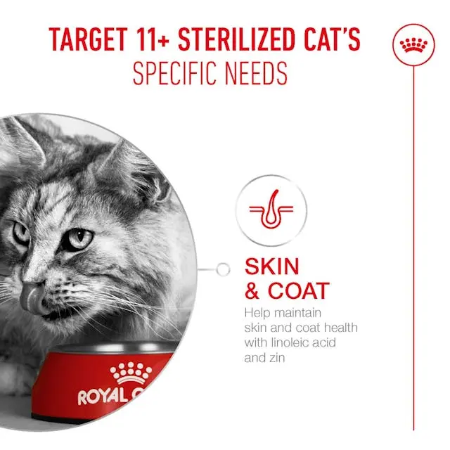 Royal Canin Ageing 11+ Alimento para Gatos Senior Mayores de 11 Años - Imagen 3