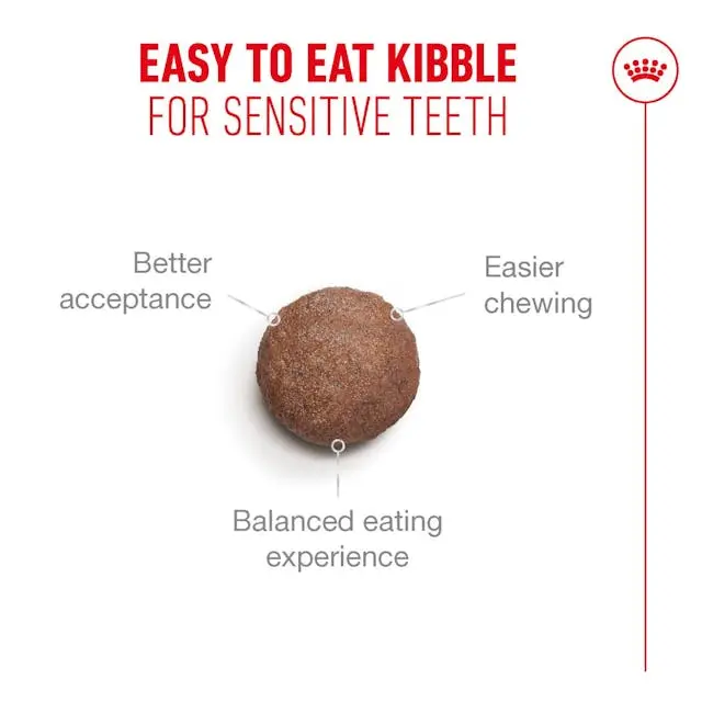 Royal Canin Ageing 11+ Alimento para Gatos Senior Mayores de 11 Años - Imagen 4