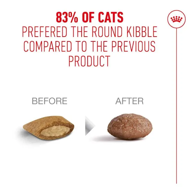 Royal Canin Ageing 11+ Alimento para Gatos Senior Mayores de 11 Años - Imagen 5