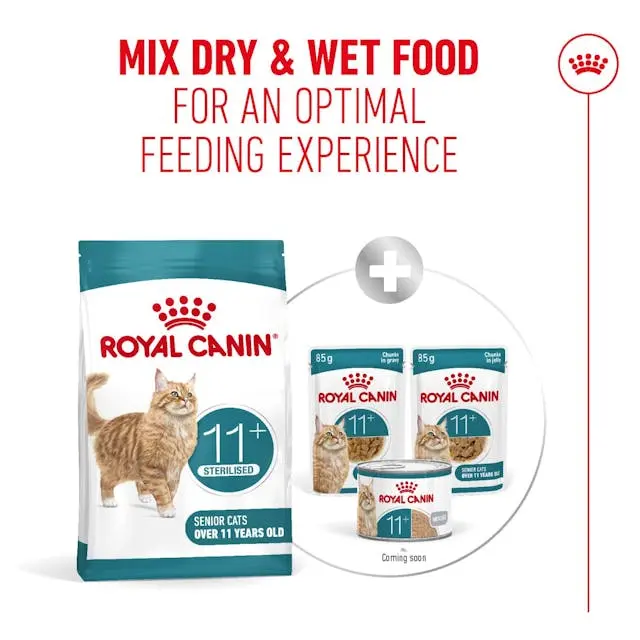 Royal Canin Ageing 11+ Alimento para Gatos Senior Mayores de 11 Años - Imagen 6