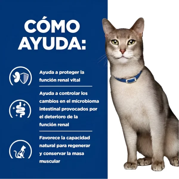 HILLS LATA GATO K/D CHICKEN 5.5 OZ - Imagen 5